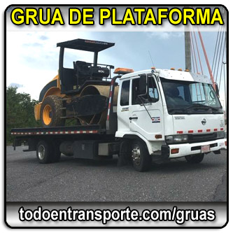 Necesita ser remolcado o transportado con grua?