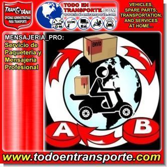 Professional Delivery and Courier Service