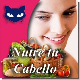 Read full article BEAUTY: Feed your Hair Read full article BEAUTY: Feed your Hair