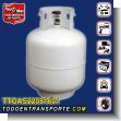 TTGAS22081801: Recarga para Cilindro de Gas Tipo S Barbacoa Bbq