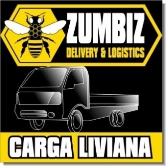 ZUMBIZ, Servicio de Carga Liviana